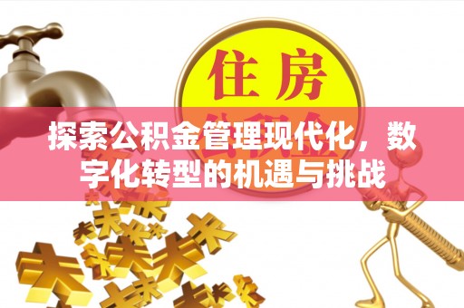 赫山探索公积金管理现代化，数字化转型的机遇与挑战
