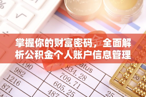 赫山掌握你的财富密码，全面解析公积金个人账户信息管理与优化