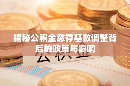 赫山揭秘公积金缴存基数调整背后的政策与影响