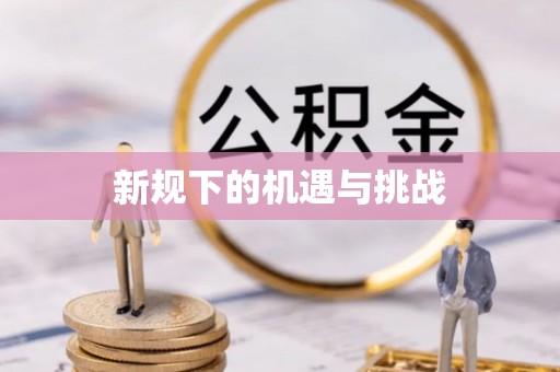 赫山新规下的机遇与挑战