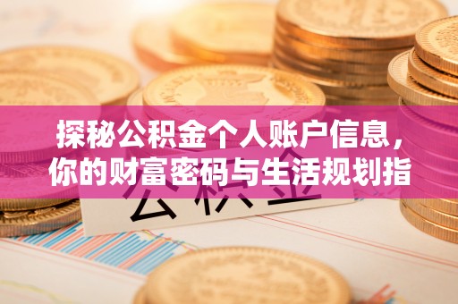 赫山探秘公积金个人账户信息，你的财富密码与生活规划指南
